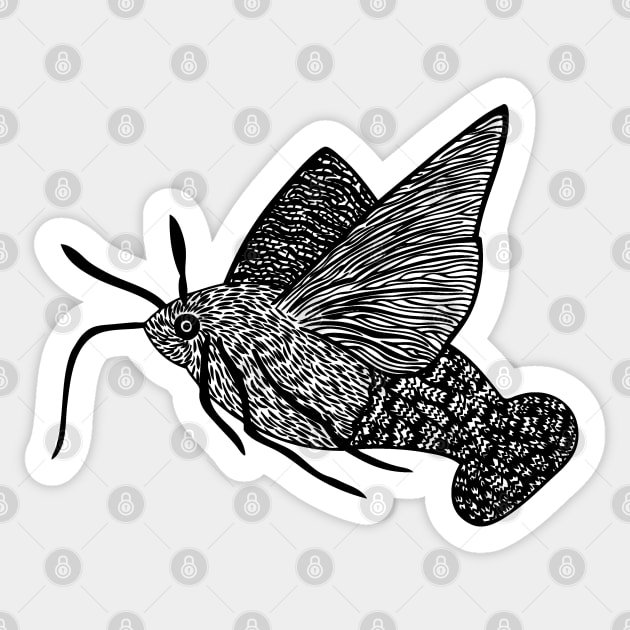 Hummingbird Hawk-Moth - flying insect design - on white Sticker by Green Paladin
